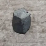 View image 2
