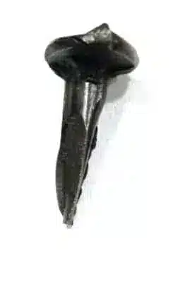 thumb-1-clous-a-tete-martele-0-625-871.jpg